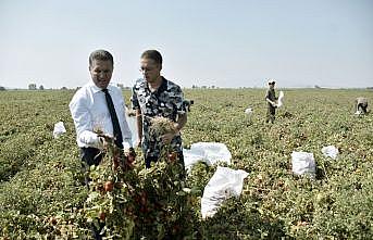 TDP Genel Başkanı Sarıgül, Karacabey'de domates üreticileriyle bir araya geldi: