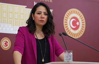 TİP Sözcüsü Sera Kadıgil, ASM çalışanlarının sorunlarını Meclis gündemine taşıdı