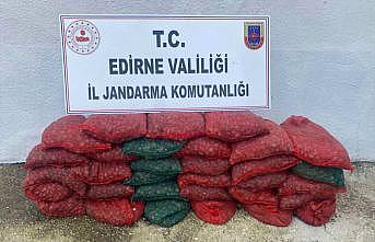 Edirne'de 1 ton kum midyesi ile yakalanan 2 kişiye 297 bin lira ceza
