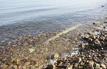 İznik Gölü'nde sular çekilince 2,5 metrelik sütun ortaya çıktı