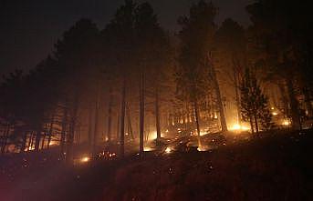 Kaz Dağları'nda çıkan örtü yangınına ekiplerce müdahale ediliyor