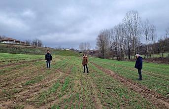 Kırklareli'nde yerli hububat tohum çeşitleri toprakla buluşturuldu