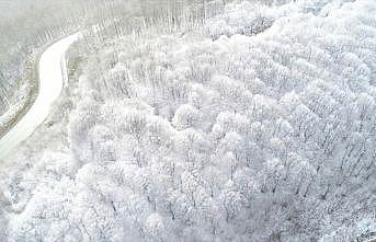 Kırklareli'nin yüksek kesimlerinde kar etkili oluyor