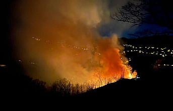 Sakarya'da ormanlık alanda kontrol altına alınan yangın yeniden başladı