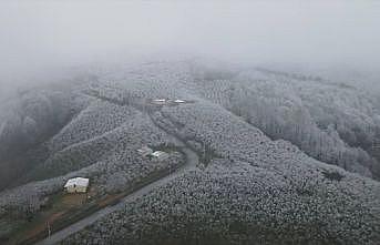 Sakarya'nın yüksek kesimlerine kar yağdı