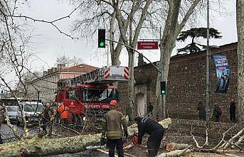 Beşiktaş'ta fırtına nedeniyle çınar ağacı caddeye devrildi