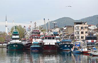 Marmara Denizi'nde limana demirleyen Karamürselli balıkçılar sezondan memnun