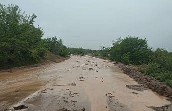 Bilecik'te sağanak nedeniyle tarım arazileri ve yollar zarar gördü