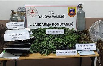 Yalova'da evin bodrum katında uyuşturucu üreten 2 zanlı tutuklandı