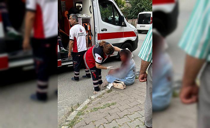 Ataşehir’de köpeğin saldırısına uğrayan kadın ağır yaralandı