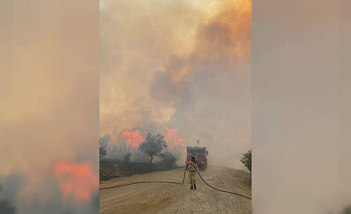 Çanakkale'de çıkan orman yangınına havadan ve karadan müdahale ediliyor