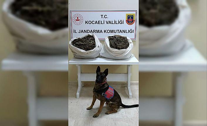 Kocaeli'de bir evde 7 kilogram esrar ele geçirildi