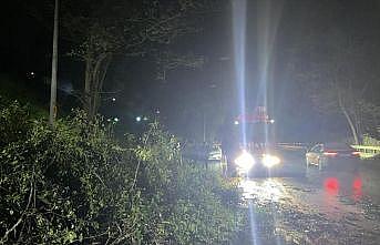 Sakarya'da şiddetli rüzgar nedeniyle yola devrilen ağaç ulaşımı aksattı