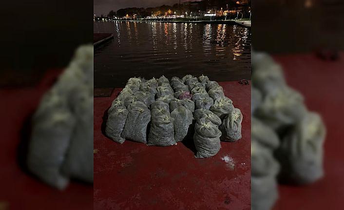 İstanbul'da yasak bölgede midye avcılığı yapan 3 şüpheliye para cezası verildi