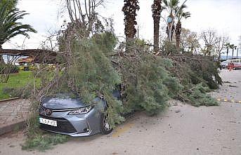 Kocaeli'de fırtına nedeniyle deniz taştı, otomobillerin üzerine ağaç devrildi