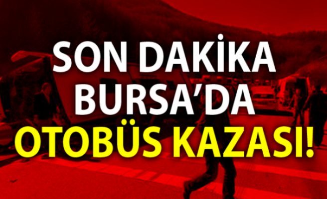 Osmangazi Dobruca mevkiinde tur otobüsü devrildi. Şoför "Bilerek Devirdim" dedi