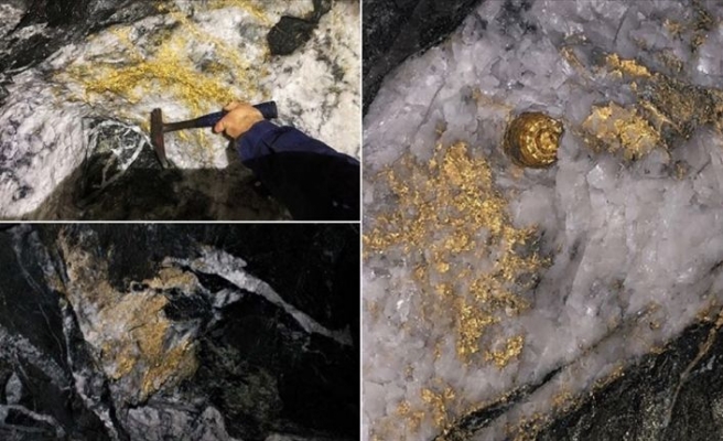 Avustralya'da altın kabuk bağlamış dev kayalar bulundu