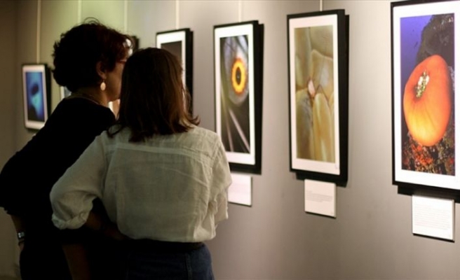 'Sualtından Geleceğe' fotoğraf sergisi açıldı