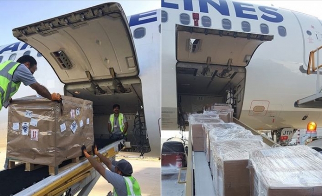 Türk böğürtleni Turkish Cargo ile dünyaya açılıyor