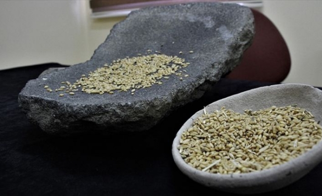 Van'da Urartu dönemine ait ezgi taşı bulundu
