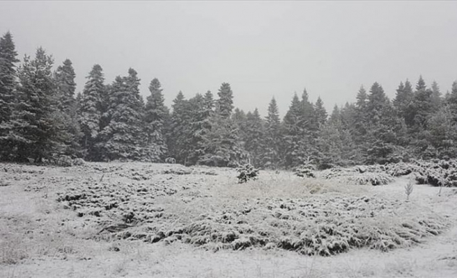 Ankara'ya mevsimin ilk karı düştü