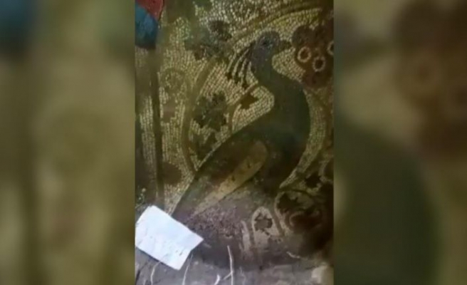 Definecilerin açtığı çukurdan 1800 yıllık tavus kuşu mozaiği çıktı