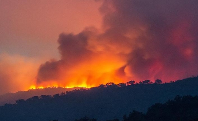 Yeni Zelanda'daki orman yangınında acil durum ilan edildi