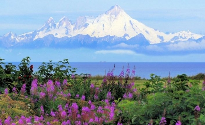 Alaska'da tüm zamanların sıcaklık rekoru