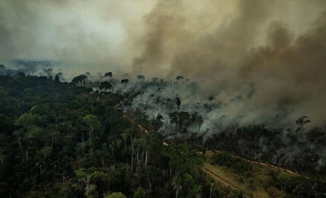 Dünyanın akciğerleri Amazonlar yanıyor
