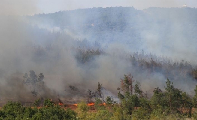 Keşan'daki orman yangını söndürüldü