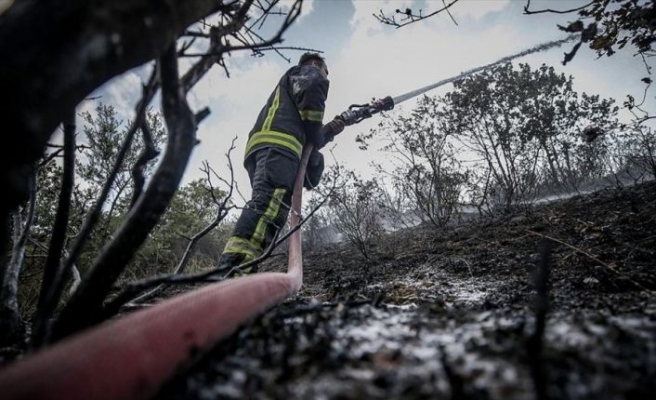 9 ilde çıkan orman yangınlarının tamamı söndürüldü