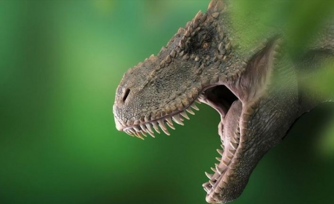 T-Rex'lerin kafataslarında klima işlevi gören delikler keşfedildi