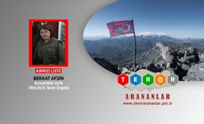 MİT'ten PKK'ya üst düzey darbe