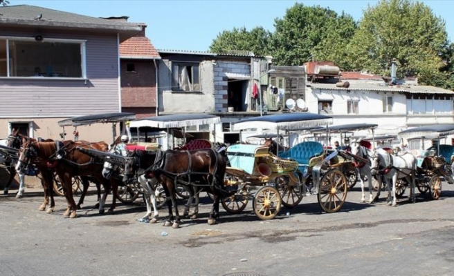 İstanbul Valisi Yerlikaya: Adalar'da faytonlara at koşulması 3 ay süreyle durduruldu