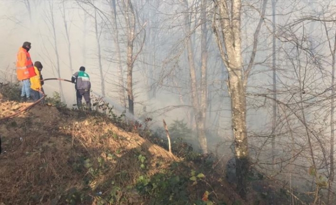 Karadeniz Bölgesi'ndeki tüm yangınlar kontrol altına alındı