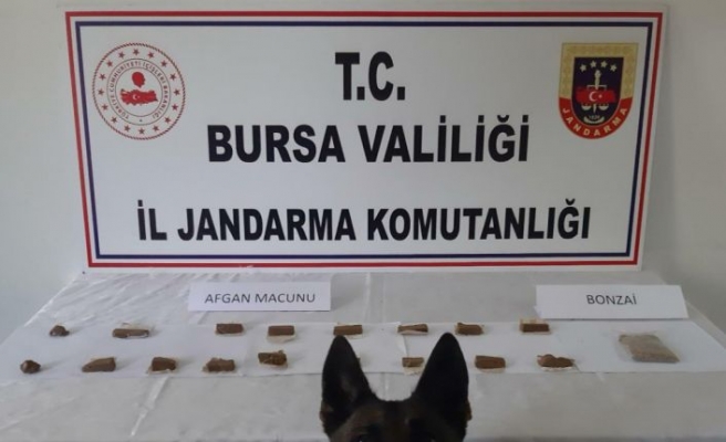 Bursa'da evinde uyuşturucu ele geçirilen şüpheli gözaltına alındı