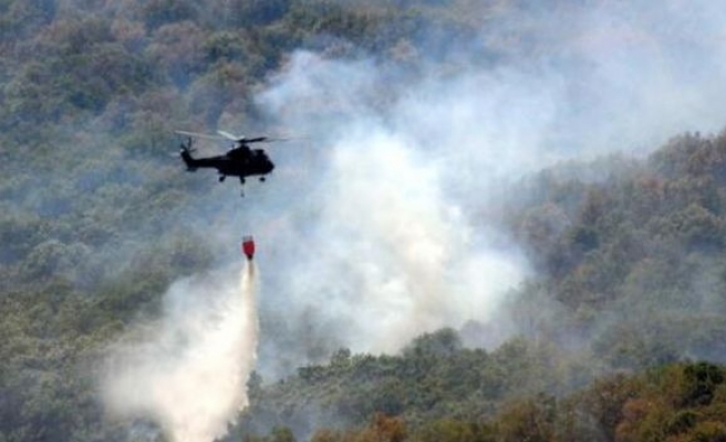 Bulgaristan-Türkiye sınırındaki yangın