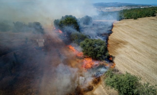 Bursa'da makilik alanda çıkıp ormana sıçrayan yangın kontrol altına alındı