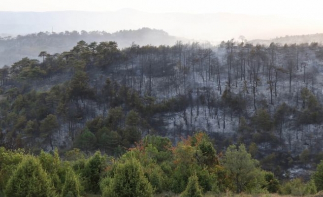 Kocaeli'de çıkan orman yangını söndürüldü