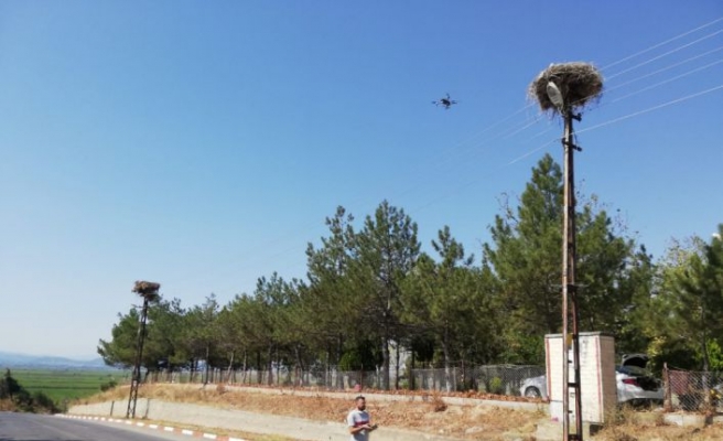 Trakya'da leylek yuvalarının bakımı drone yardımıyla yapılıyor