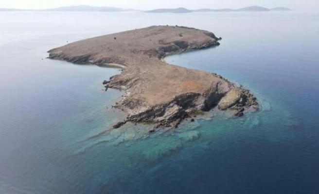 Kız Adası'nın “kesin korunacak hassas alan“ ilan edilmesi