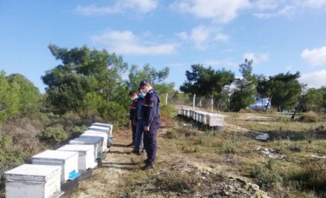 Balıkesir'de “dur“ ihtarına uymayan kamyonetten çalıntı arı kovanları çıktı