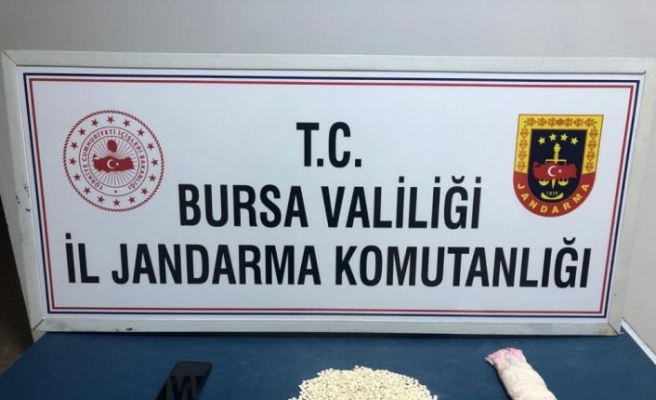 Bursa'da kırlentin içine gizlenmiş 1821 adet uyuşturucu hap ele geçirildi