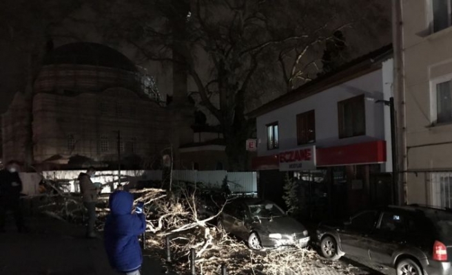 Bursa'da lodosun devirdiği çınar, park halindeki araçların üzerine düştü