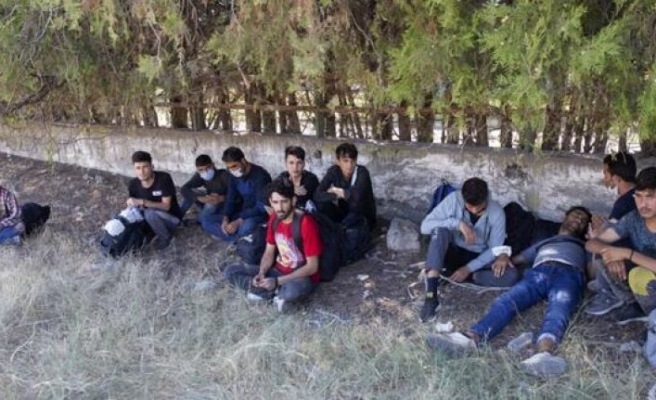 Edirne'de 7 sığınmacı yakalandı