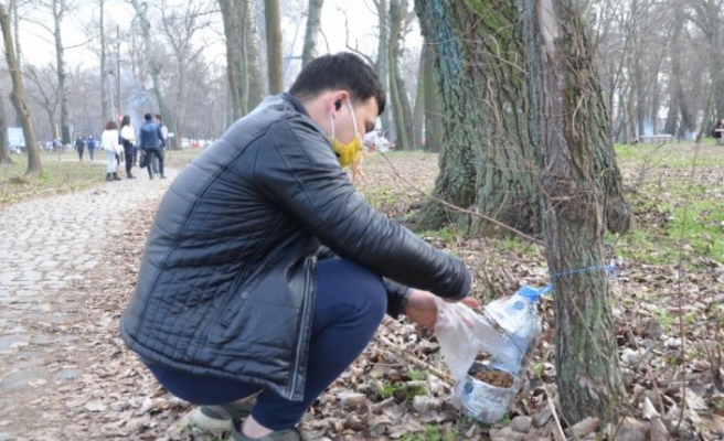 Edirne'de yabancı uyruklu öğrenciler sokak hayvanlarını besledi