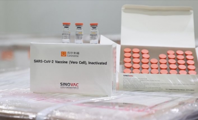 Endonezya, Sinovac'ın geliştirdiği Kovid-19 aşısının kullanımını onayladı