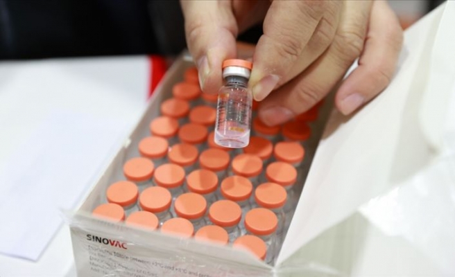 Kovid-19 aşılarının Türkiye'deki dağıtım sürecinin ayrıntıları netleşti