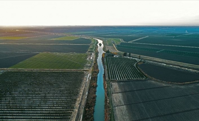 Tatlı su miktarının yüzde 70'i tarımsal sulamada kullanılıyor