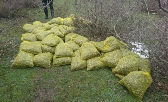 Edirne'de kaçak toplanan 750 kilogram kum midyesi ele geçirildi